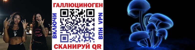 хочу   Бийск  Галлюциногенные грибы Magic Shrooms 
